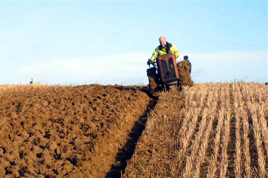 ploughing 2.JPG